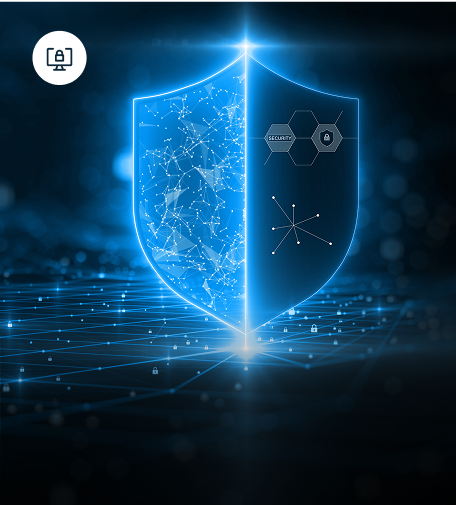 Seguridad perimetral